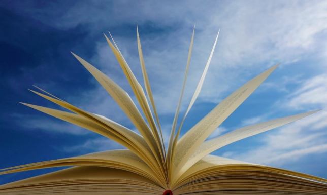 Biblioteka plenerowa Suwałki