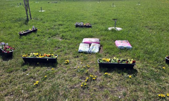 akcja sprzątania terenów zielonych naszego miasta