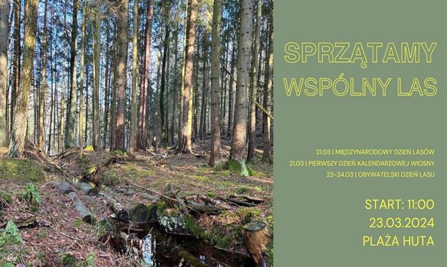 Las daje nam tlen, czyste powietrze, którym oddychamy