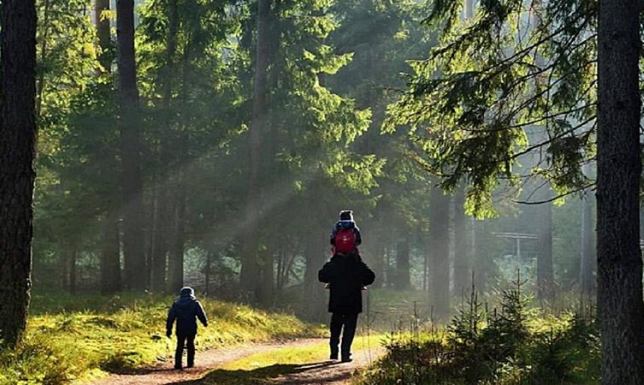 Apel leśników ws. wycieczek do lasu w czasie epidemii