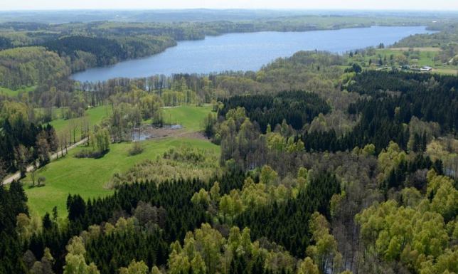 Komunikat nadleśnictwa Suwałki ws. zagospodarowania lasów w sąsiedztwie jeziora Hańcza zagospodarowanie lasów w w sąsiedztwie Jeziora Hańcza