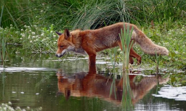 Rządowe Centrum Bezpieczeństwa rozesłało alerty dla mieszkańców