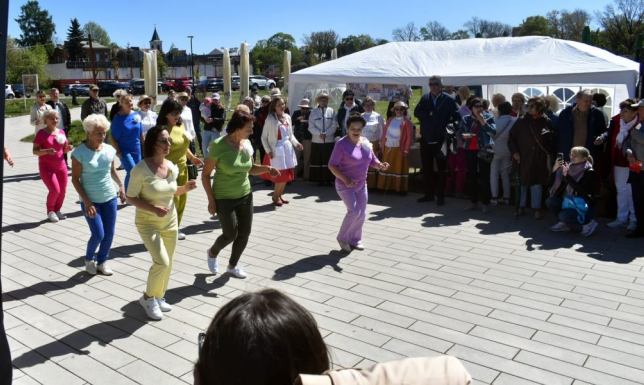 W Suwałkach działa ponad 250 organizacji pozarządowych