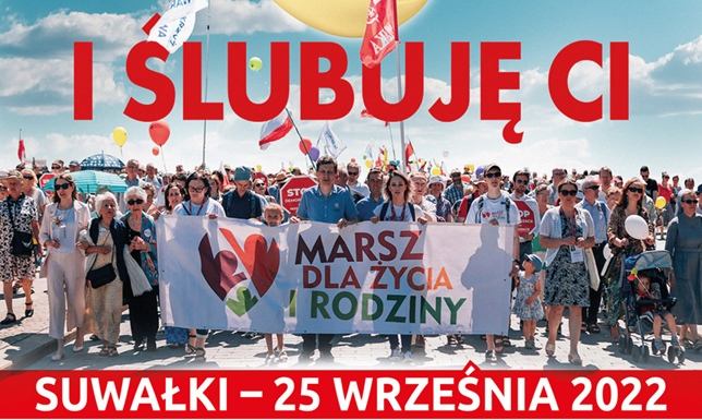 Wydarzeniu towarzyszy Festyn Rodzinny w Paru Konstytucji 3 Maja.