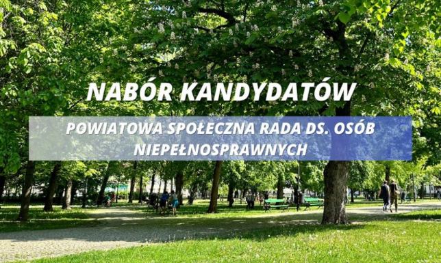 Powiatowa Społeczna Rada do Spraw Osób Niepełnosprawnych przy Prezydencie