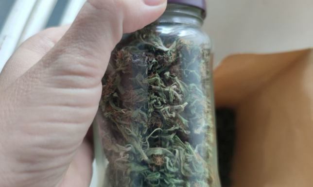 mieszkaniec Sejn posiadał blisko 400 gramów marihuany