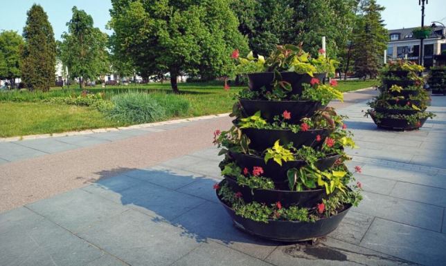 Letnie nasadzenia roślin w Suwałkach Kilkadziesiąt tysięcy kwiatów przyozdobi Suwałki latem