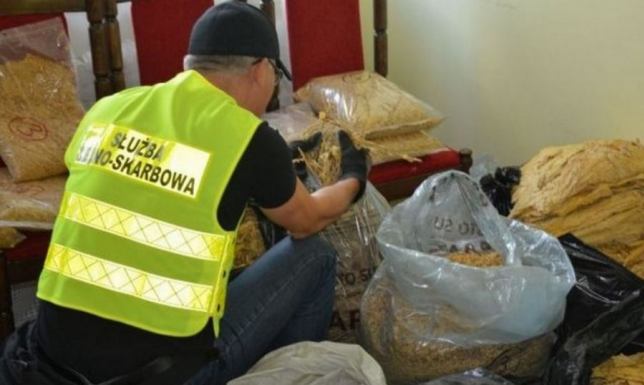 Nielegalny susz tytoniowy w Gminie Filipów
