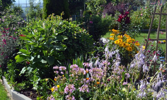 XXV edycja konkursu ”Gdzie te piękne ogrody i kwieciste balkony”