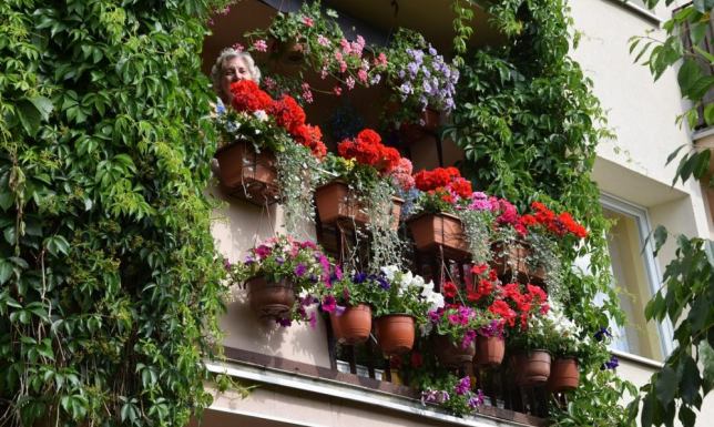 27 edycja konkursu „Gdzie te piękne ogrody i kwieciste balkony”