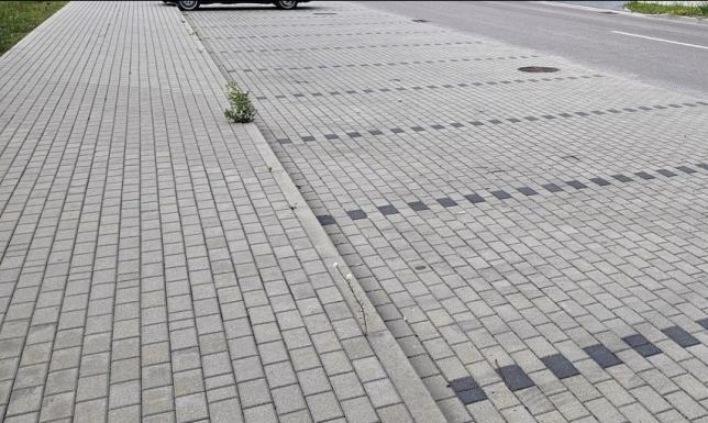 Nie będzie miejsc postojowych na wysokości Zalewu Arkadia Dokumentacja projektowa przebudowy ul. Powstańców Wielkopolskich