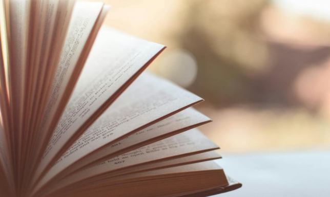 Joanna Chyłka i Harry Hole – dwie twarze współczesnego kryminału, które warto poznać Joanna Chyłka i Harry Hole – dwie twarze współczesnego kryminału, które warto poznać