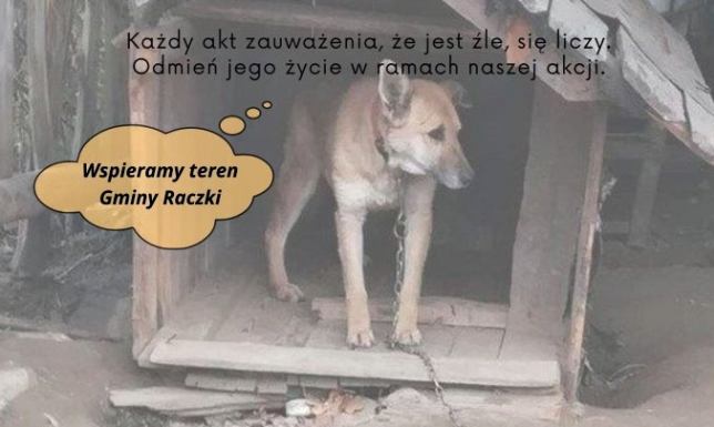 Projekt sfinansowany jest ze środków Fundacji im. Stefana Batorego