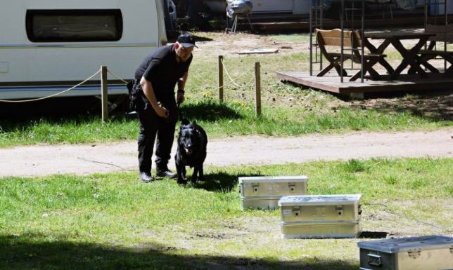 VII edycja Zawodów Przewodników Psów Służbowych Żandarmerii Wojskowej