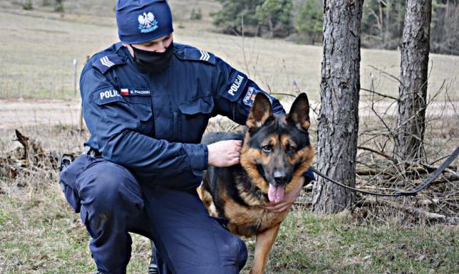 Policyjny pies wytropił skradziony rower Suwalscy policjanci zatrzymali podejrzanego o kradzież roweru