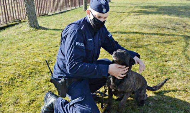 Suwalscy policjanci zatrzymali 23-latkę podejrzaną o kradzież z włamaniem do pomieszczenia na strychu