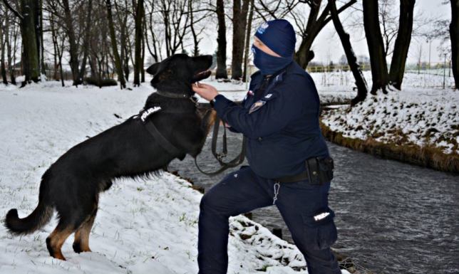 Komenda Miejska Policji w Suwałkach ma nowego psa