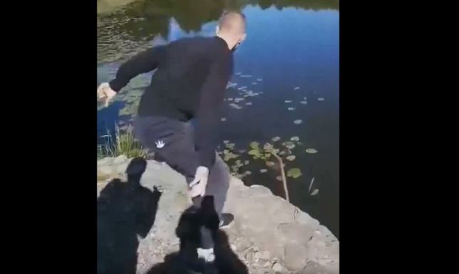 Mężczyzna w sierpniu ubiegłego roku wrzucił kota do stawu