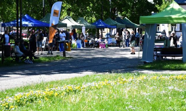 prezentacje podmiotów ekonomii społecznej, pokazy sportowe