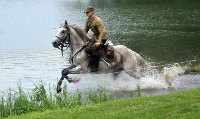 Zawody i pokazy sprawności kawaleryjskiej  w Suwałkach