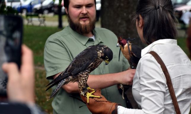 Pokaz psów ras myśliwskich, prezentacja sokolników, czy gotowanie potraw z dziczyzny