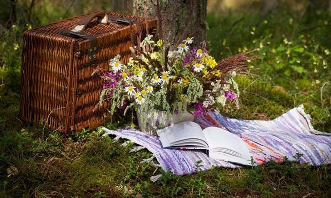 Biblioteka zaprasza na Piknik na Klonowej Biblioteka Publiczna im. Marii Konopnickiej zaprasza dzieci i rodziców