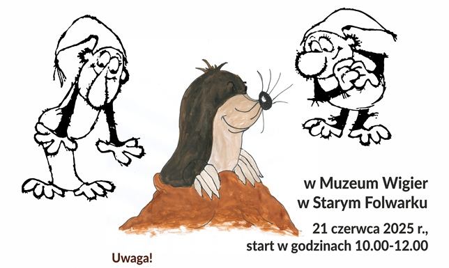 Co Żwirek i Muchomorek wiedzą o podziemnym świecie