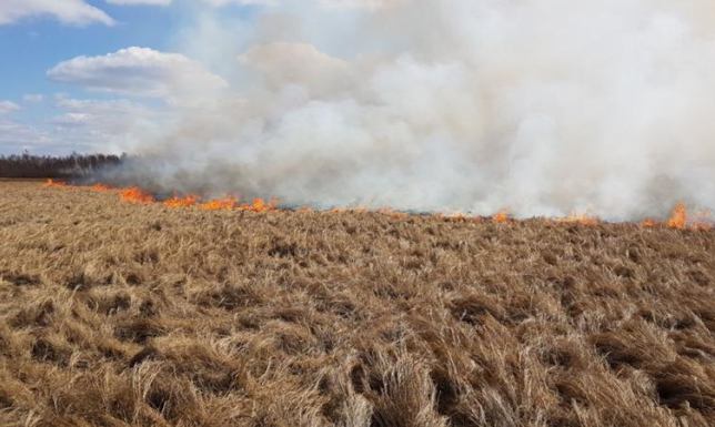 Biebrzański Park Narodowy wciąż w ogniu
