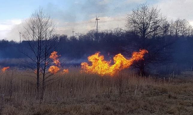 Paliły się trzciny nad Czarną Hańczą