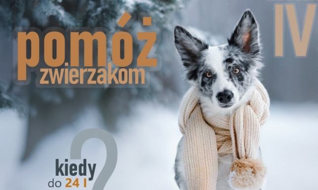"Człowieku podaj łapę" - pomoc zwierzętom w PUZ W patio Uczelni można zostawiać m.in. karmę, koce, obroże