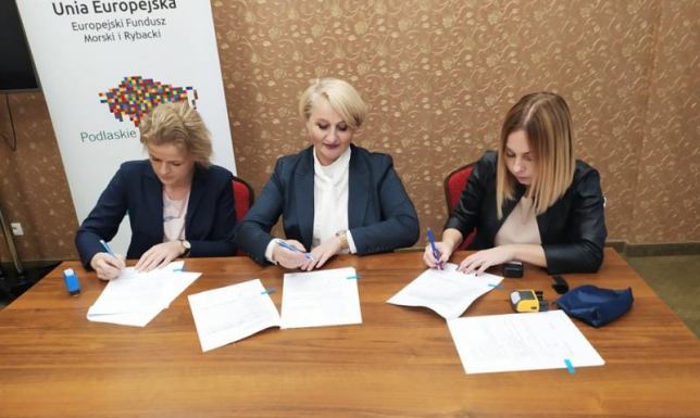 Remont biblioteki, nowa plaża czy rozbudowa budynku Ochotniczej Straży Pożarnej