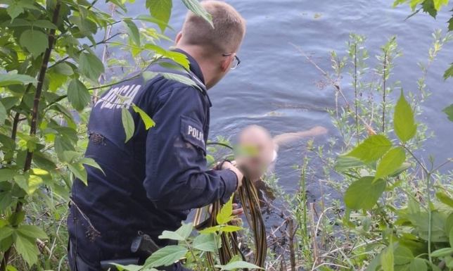 Mieszkaniec Augustowa na widok radiowozu wskoczył do akwenu