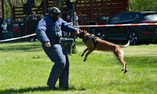 piknik rodzinny, zorganizowany w ogrodach Pokamedulskiego Klasztoru