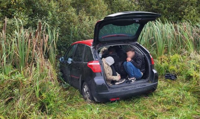 Dwóch kurierów przewożących nielegalnych imigrantów zatrzymała SG