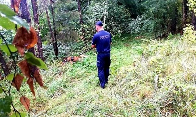 Policjanci apelują o rozsądek i ostrożność w trakcie pobytu w lesie