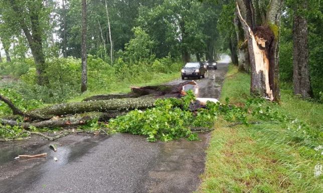 Ponad 30 strażackich interwencji w regionie zdarzenia spowodowane porywami silnego wiatru i opadami deszczu