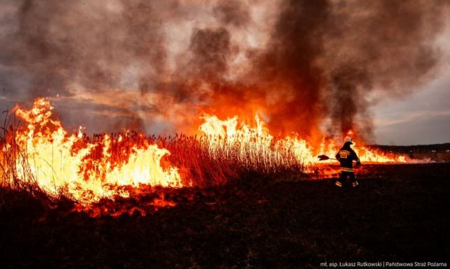 Trwają intensywne działania gaśnicze na terenie Biebrzańskiego Parku Narodowego