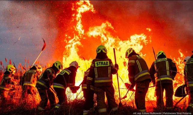 Pożar w Biebrzańskim Parku Narodowym Około 89 hektarów traw i trzcin spłonęło w niedzielnym (30.03) pożarze