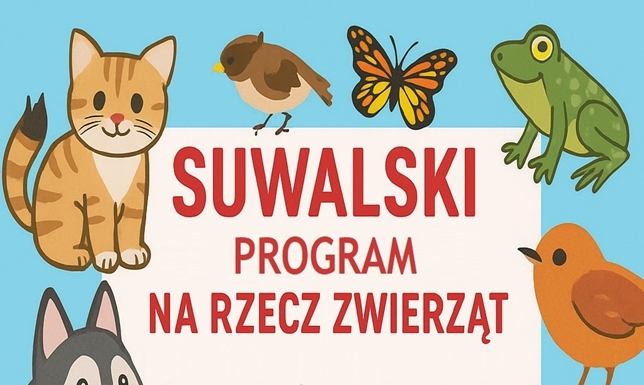 utworzenie w mieście "Suwalskiego Programu na Rzecz Zwierząt"