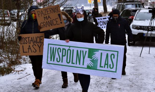 Ogólnopolska akcja "Wspólny Las"