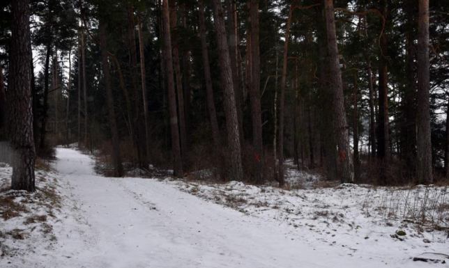 Lasy o zwiększonej funkcji społecznej, ankieta