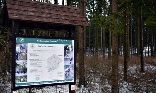 wyjaśnienie przyczyn wycinki drzew w lesie Szwajcarskim