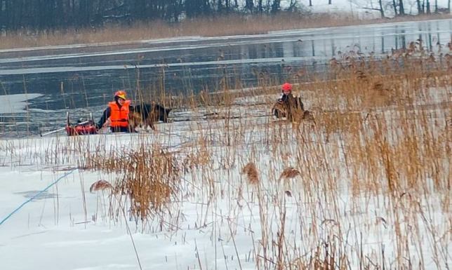 Uratowali dwa psy które trzymały się tafli lodu i nie mogły wyjść z wody