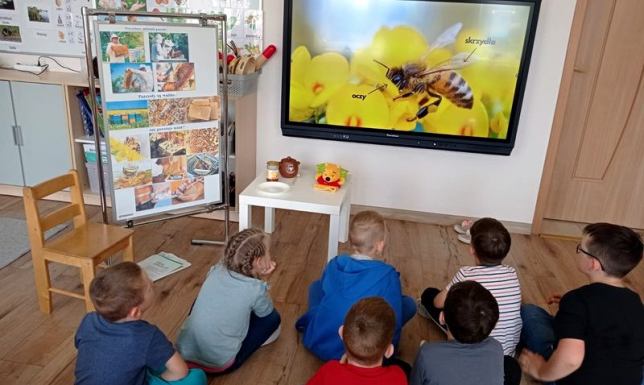 Zrealizowali projekt "Chrońmy Pszczoły: Takie Małe – Takie Ważne" Wolontariusze Polska 2050 zakończyli akcję MiniGrantów