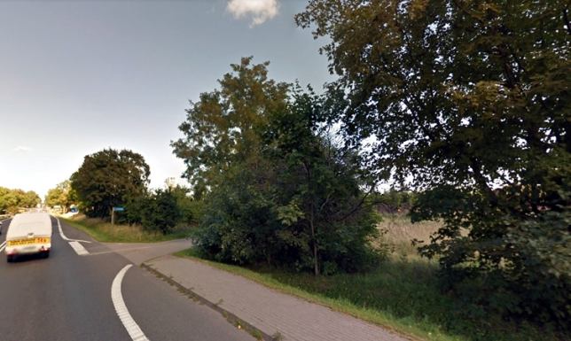 Wytną drzewa - utrudnienia dla kierowców