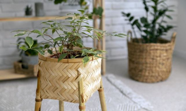 Stojaki na kwiaty jako efektowny sposób na aranżację przestrzeni