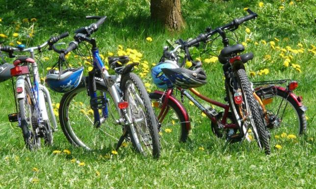 Rajd rowerowy „Odjazdowy bibliotekarz”.