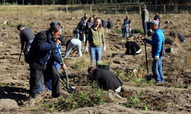 Posadzą 10 tysięcy drzew piąta edycja akcji sadzenia lasu, CAL prawdziwe drzwi