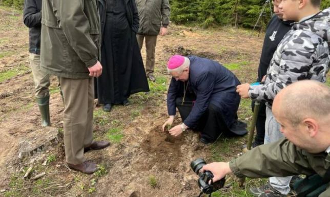 Las Pamięci im. Jana Pawła II w Nadleśnictwie Augustów