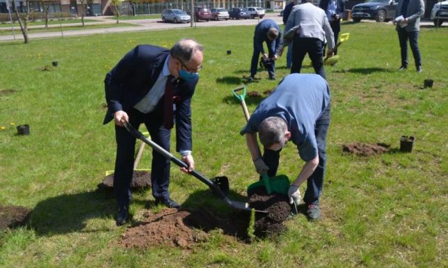 Na skwerze przy ul. Jana Pawła II w Suwałkach zasadzono w środę (12.05) świerki